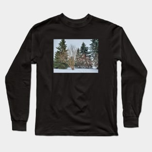 Alberta Winter 03 Long Sleeve T-Shirt